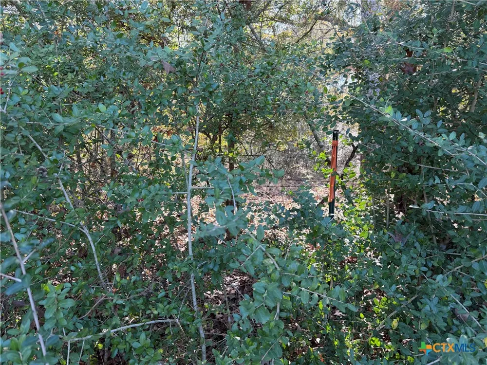 128 County Road 301 Tract 7 Fairfield, TX 75855
