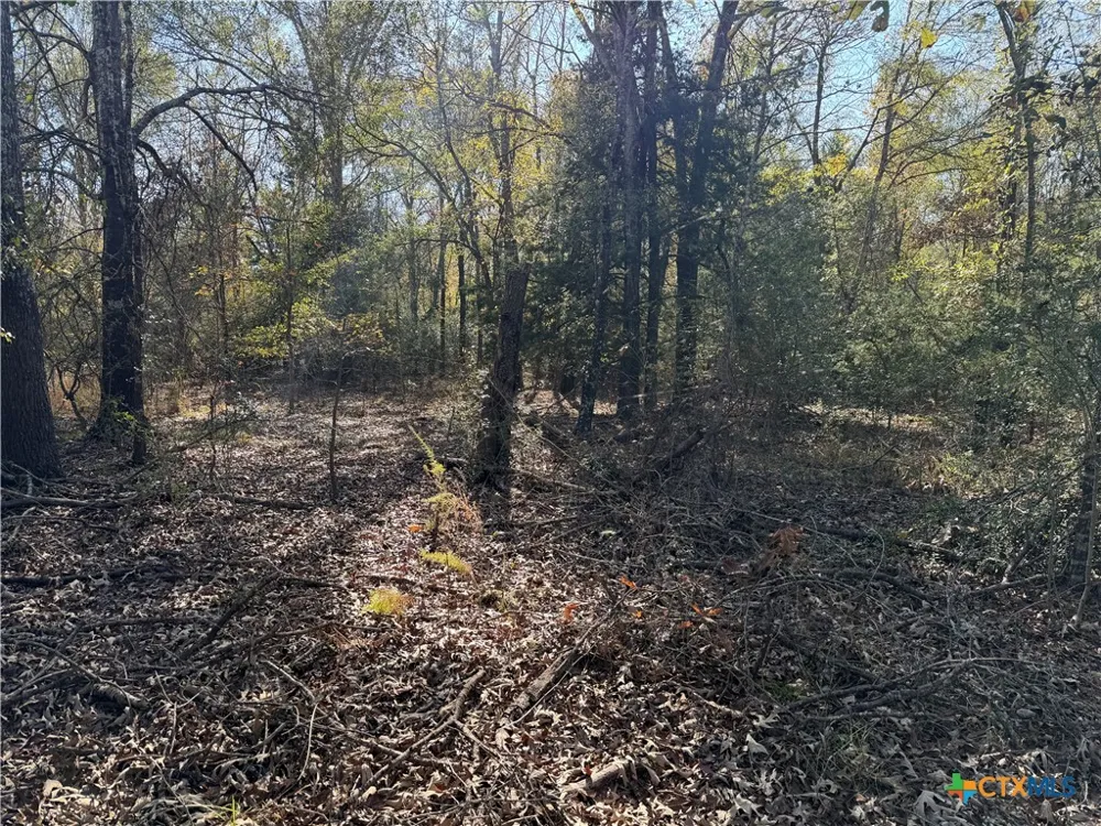 128 County Road 301 Tract 7 Fairfield, TX 75855