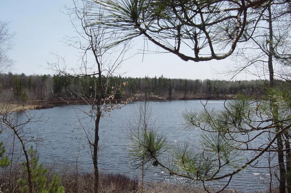 Lot 3 South Point Trail Danbury, WI 54830