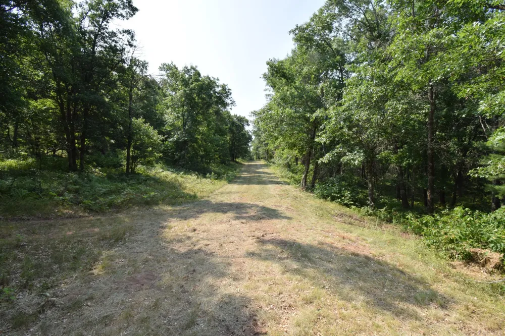 Lot 3 South Point Trail Danbury, WI 54830