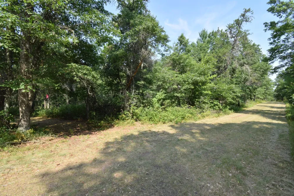 Lot 3 South Point Trail Danbury, WI 54830