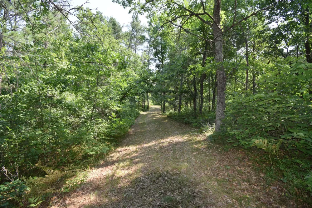 Lot 3 South Point Trail Danbury, WI 54830