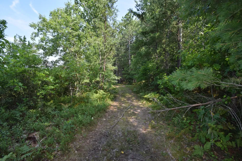 Lot 3 South Point Trail Danbury, WI 54830