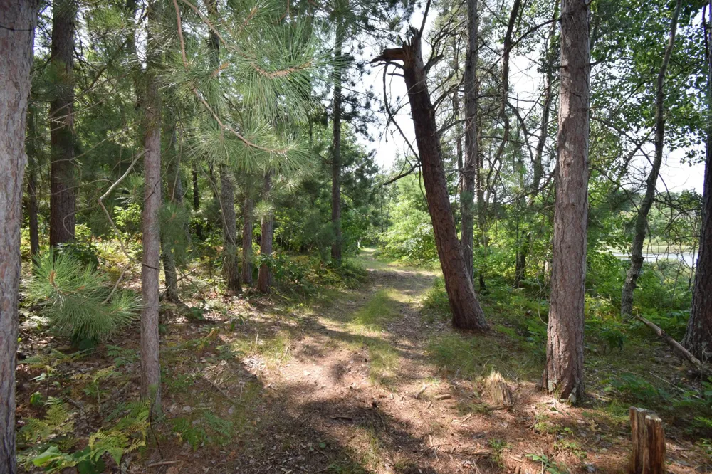 Lot 3 South Point Trail Danbury, WI 54830