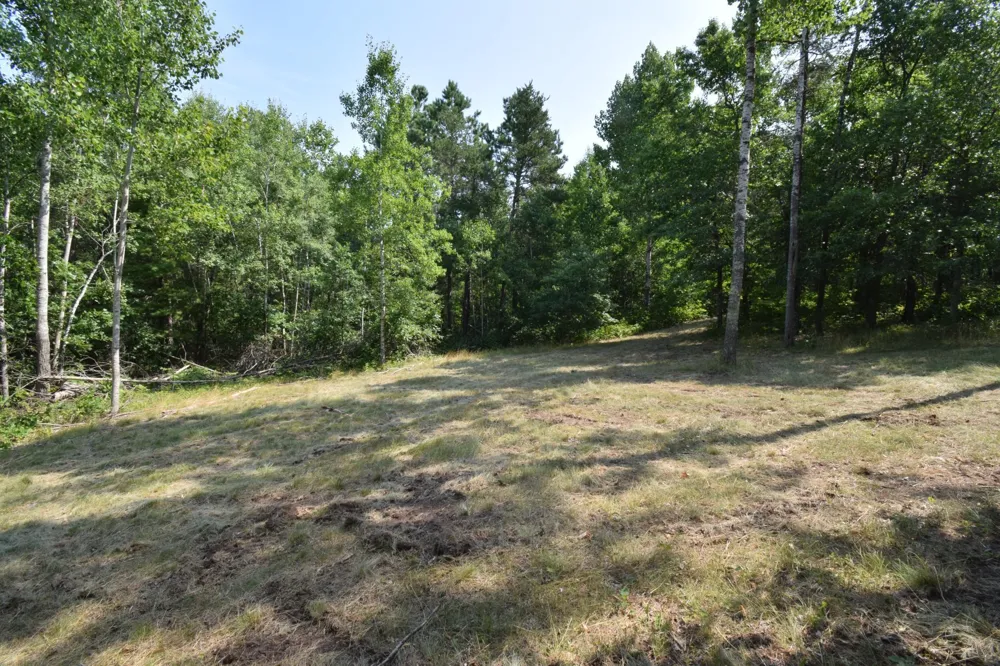 Lot 3 South Point Trail Danbury, WI 54830