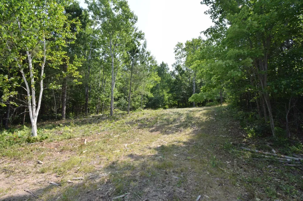 Lot 3 South Point Trail Danbury, WI 54830