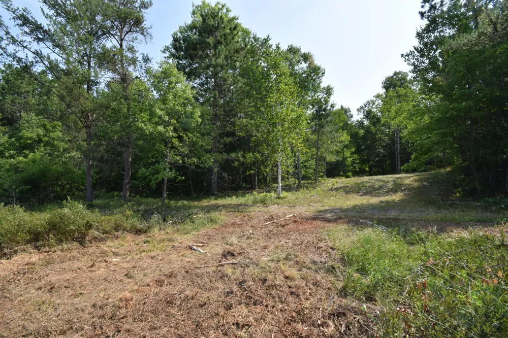 Lot 3 South Point Trail Danbury, WI 54830