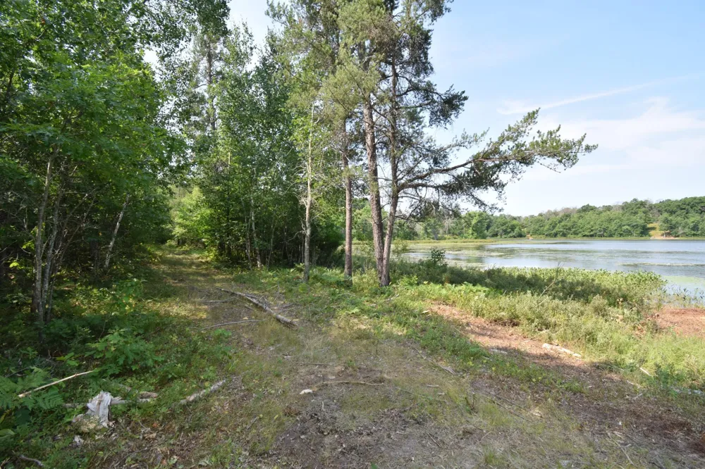 Lot 3 South Point Trail Danbury, WI 54830