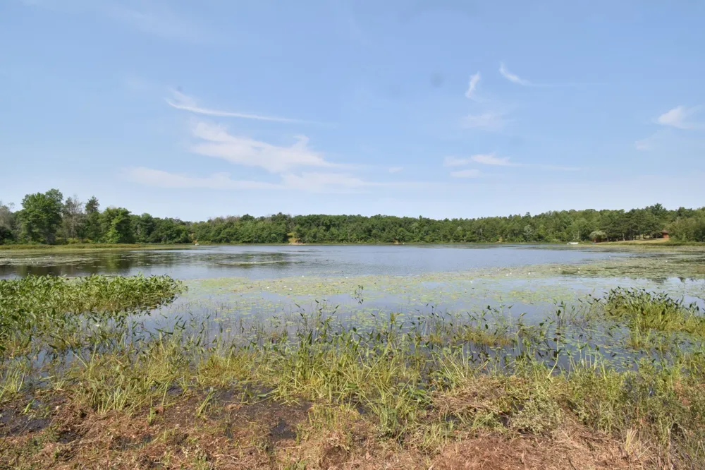 Lot 3 South Point Trail Danbury, WI 54830