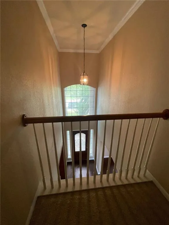 704 S Frontier Lane Cedar Park, TX 78613
