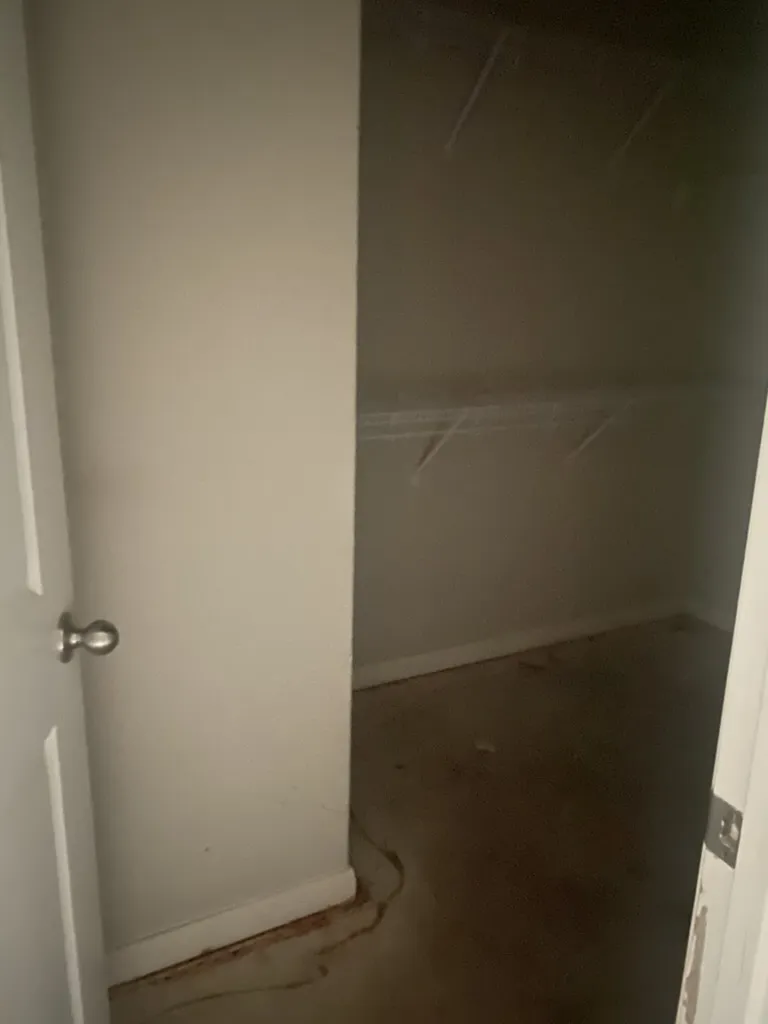100 Cherry Tree Lane Liberty Hill, TX 78642