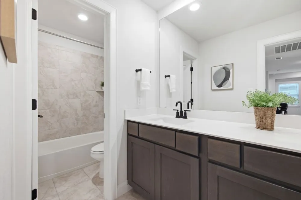 1328 Texas Ash Lane Georgetown, TX 78628