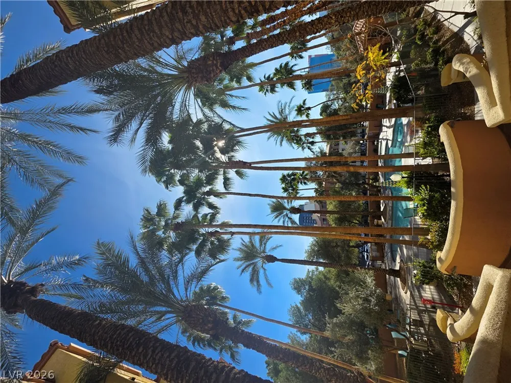 210 E Flamingo Road #101 Las Vegas, NV 89169