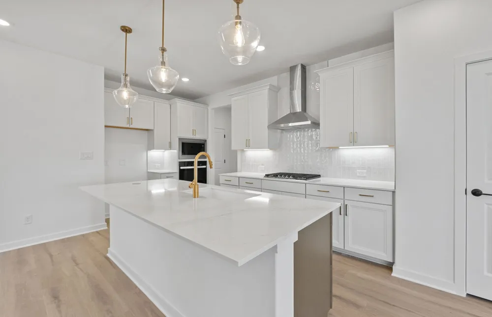 1820 Spring Mountain Cove Georgetown, TX 78628