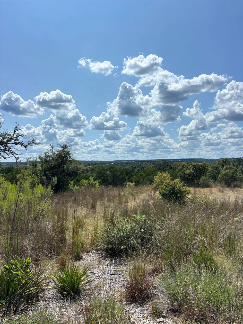 14612 Honeycomb Drive Leander, TX 78641