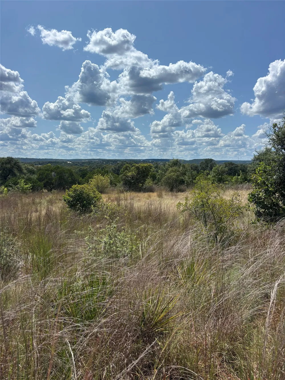 14612 Honeycomb Drive Leander, TX 78641