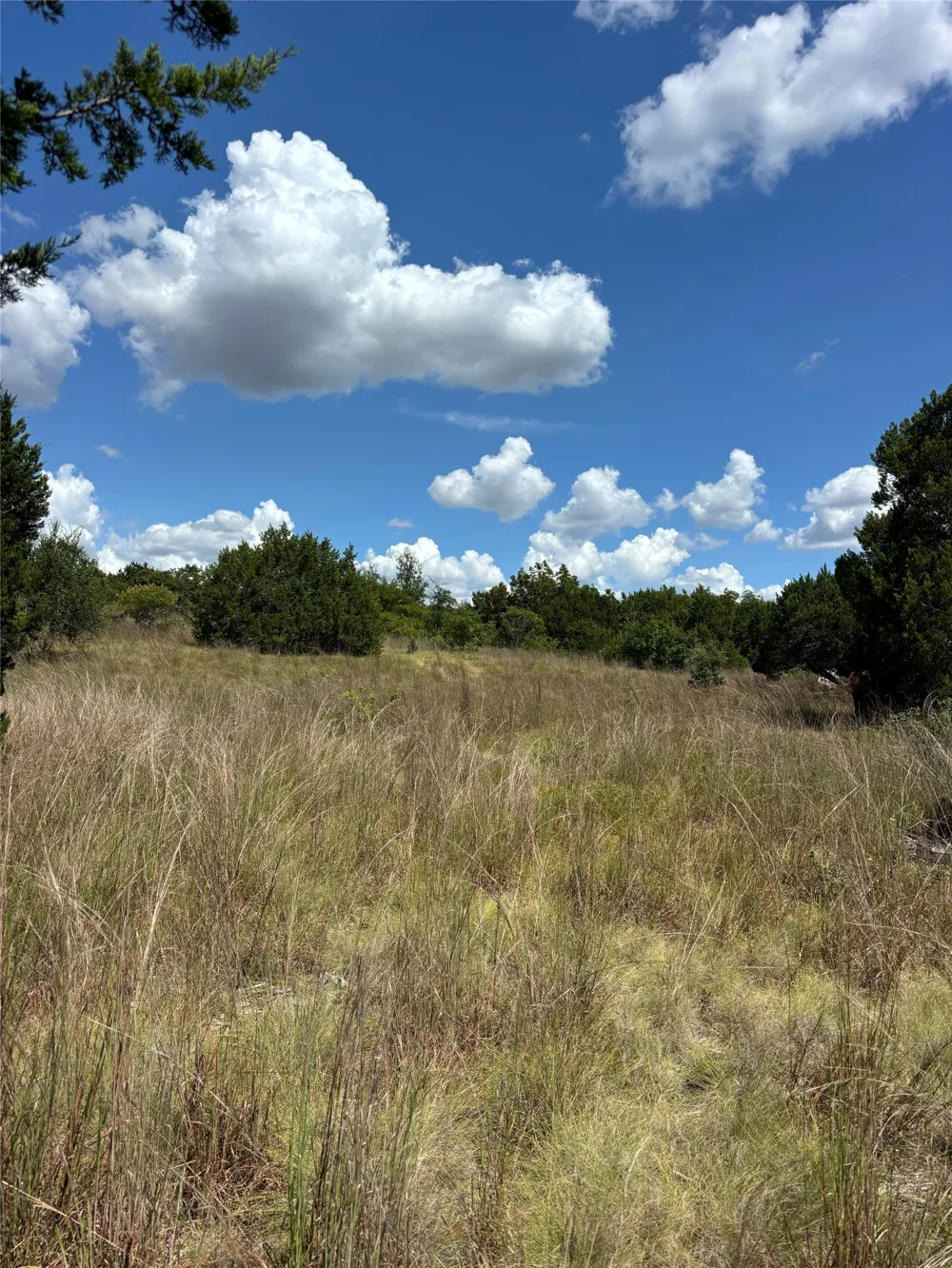 14612 Honeycomb Drive Leander, TX 78641