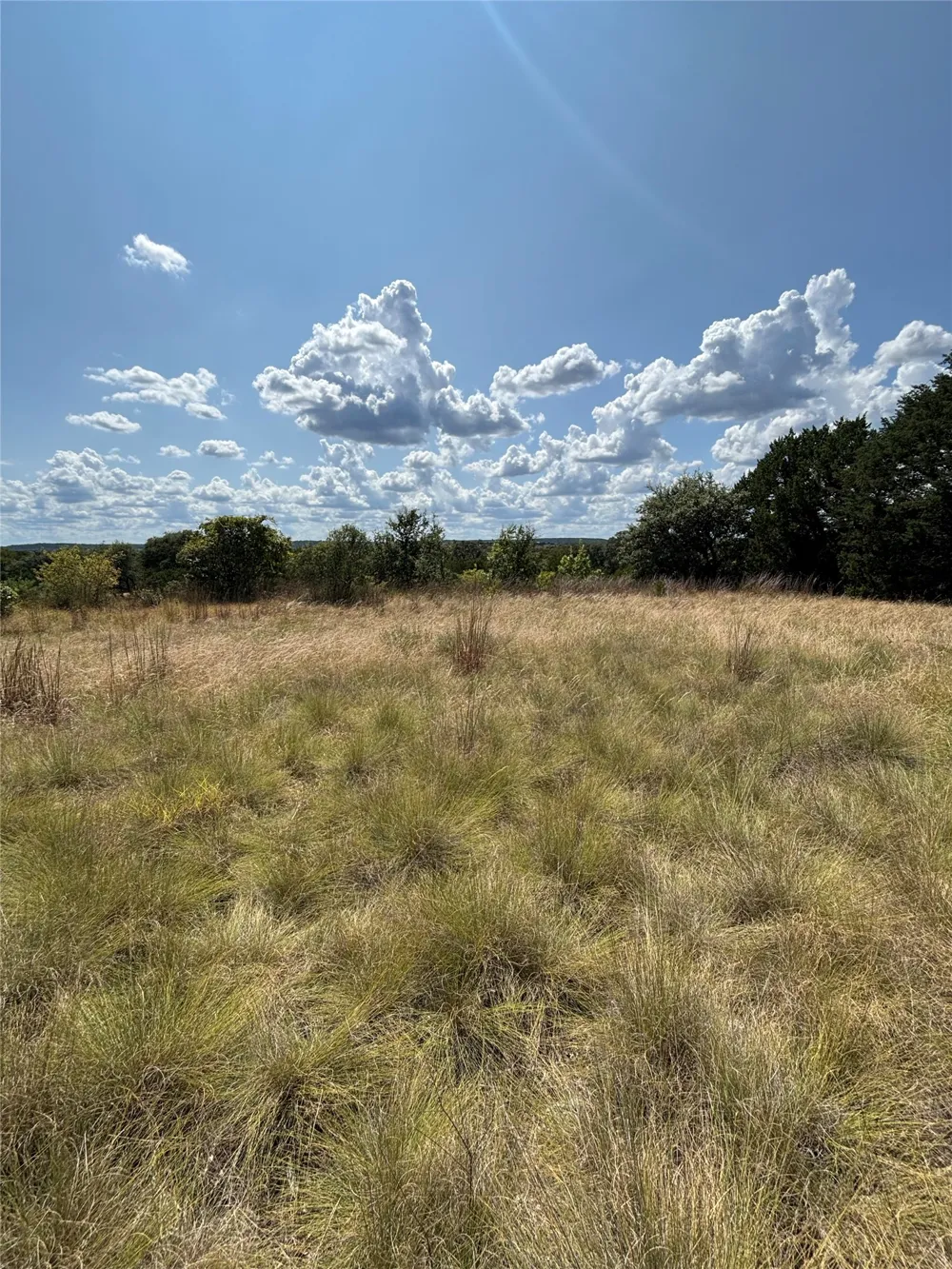 14612 Honeycomb Drive Leander, TX 78641