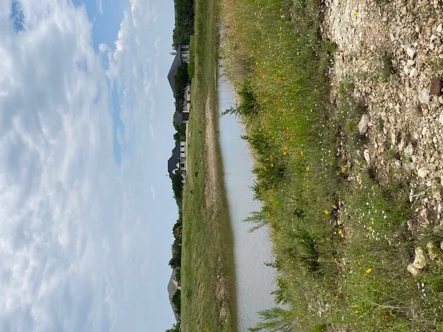 600 Buffalo Trail Liberty Hill, TX 78642