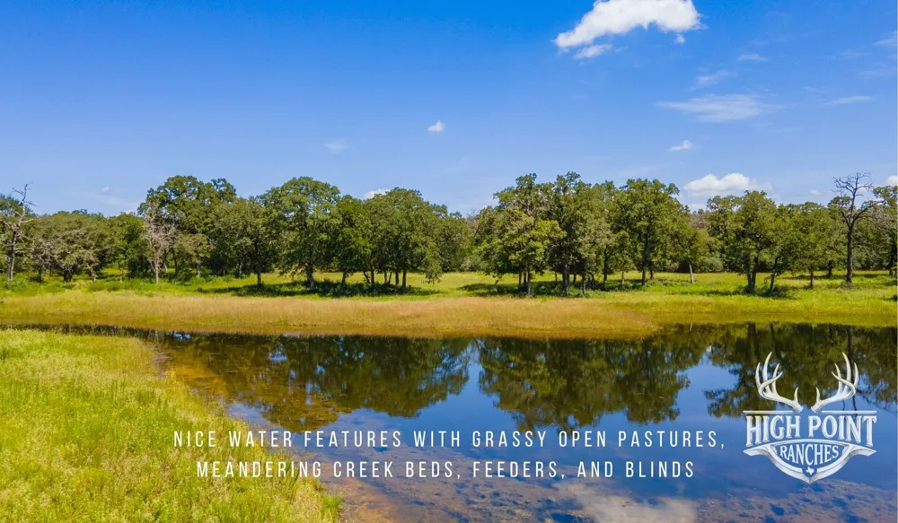 Ranch Road off CR 405 (+/- 245 acres) Lexington, TX 78947