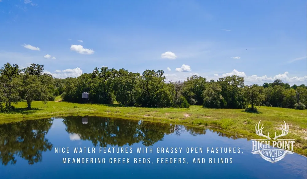 Ranch Road off CR 405 (+/- 245 acres) Lexington, TX 78947