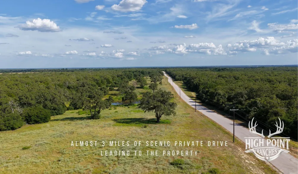 Ranch Road off CR 405 (+/- 245 acres) Lexington, TX 78947