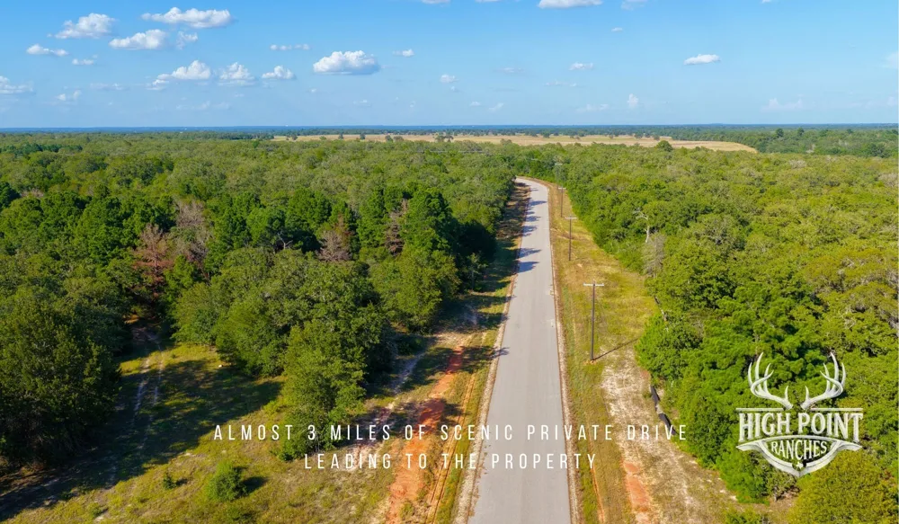 Ranch Road off CR 405 (+/- 245 acres) Lexington, TX 78947