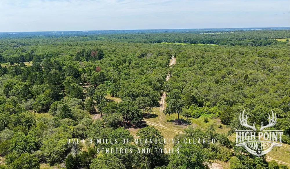 Ranch Road off CR 405 (+/- 245 acres) Lexington, TX 78947