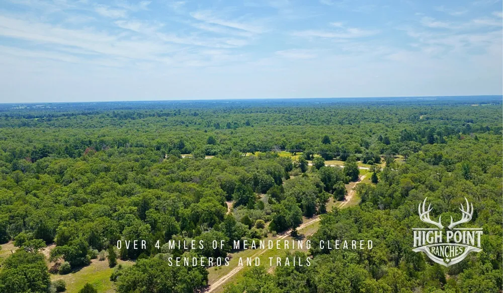 Ranch Road off CR 405 (+/- 245 acres) Lexington, TX 78947