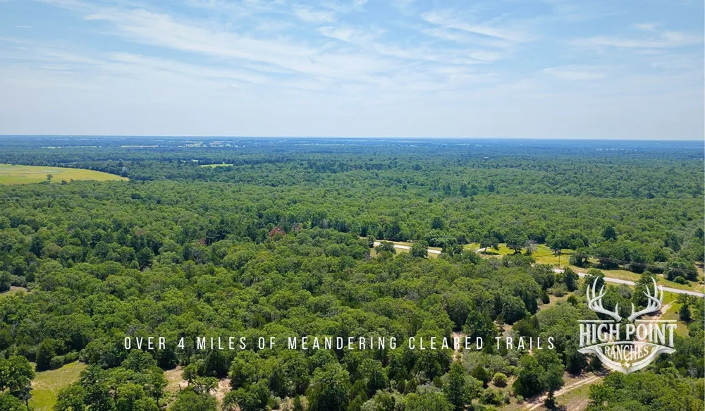 Ranch Road off CR 405 (+/- 245 acres) Lexington, TX 78947