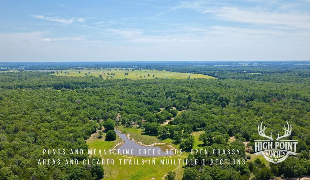Ranch Road off CR 405 (+/- 245 acres) Lexington, TX 78947