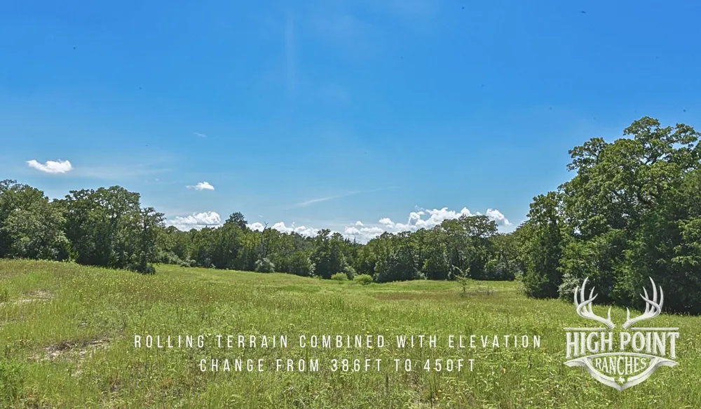 Ranch Road off CR 405 (+/- 245 acres) Lexington, TX 78947