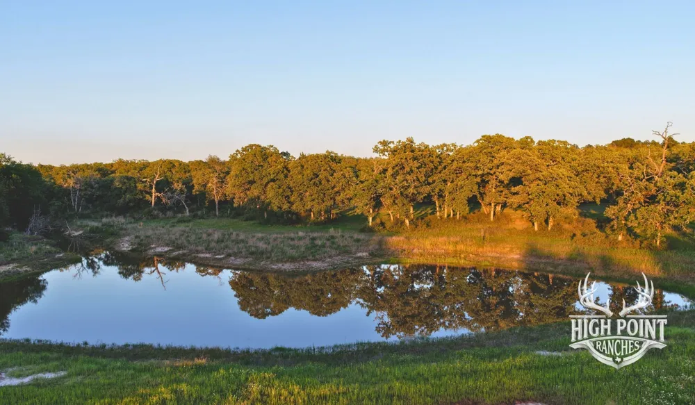 Ranch Road off CR 405 (+/- 245 acres) Lexington, TX 78947