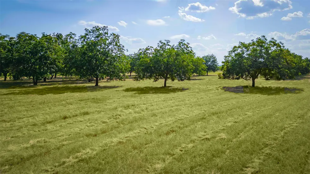 95 Loma Lane Fredericksburg, TX 78624