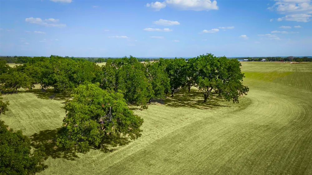 95 Loma Lane Fredericksburg, TX 78624