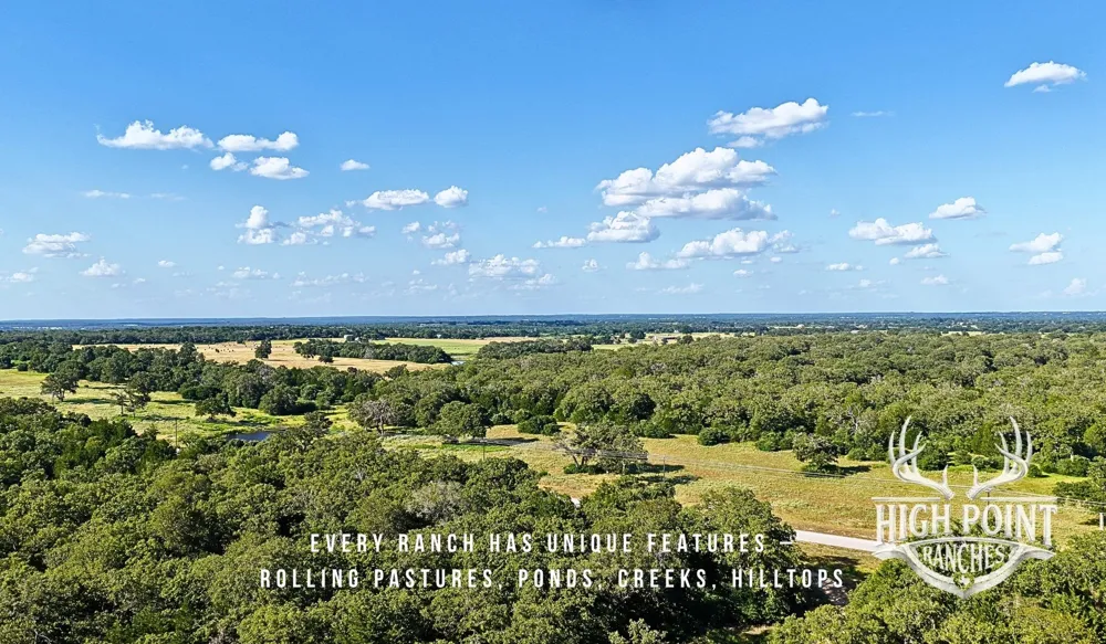 Ranch Road off CR 405 (+/- 175 acres) Lexington, TX 78947