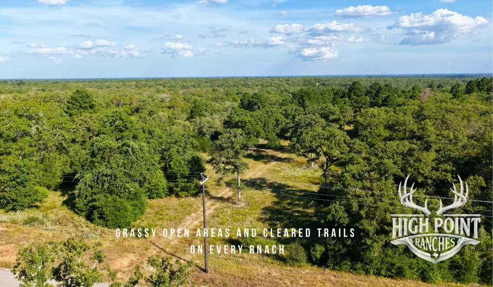Ranch Road off CR 405 (+/- 175 acres) Lexington, TX 78947