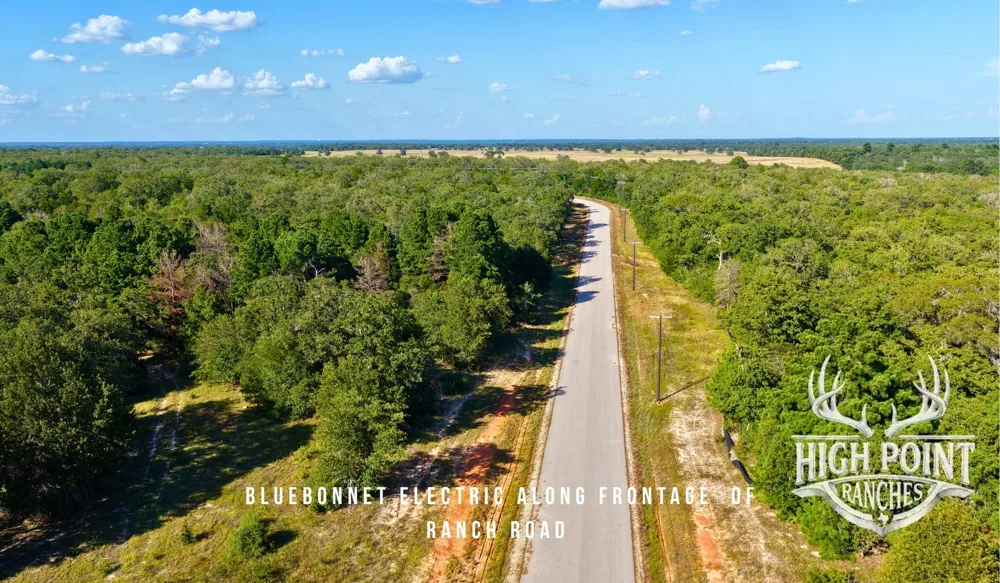 Ranch Road off CR 405 (+/- 175 acres) Lexington, TX 78947