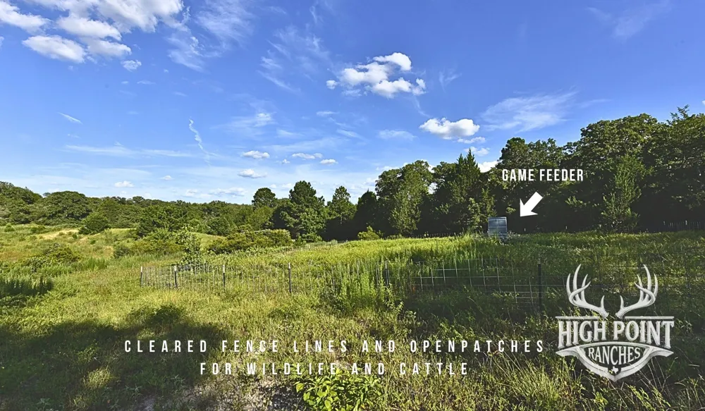 Ranch Road off CR 405 (+/- 175 acres) Lexington, TX 78947