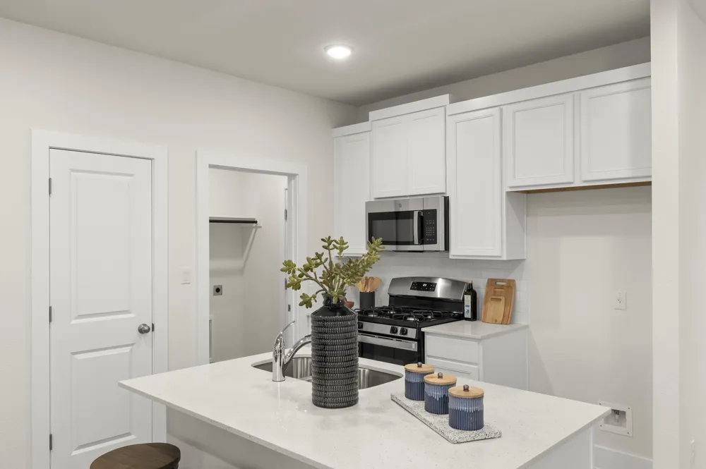 803 White Steppe Way Georgetown, TX 78626