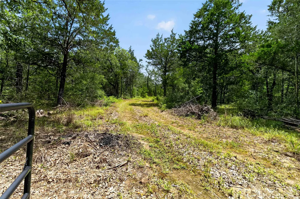 Gotier Trace Road Paige, TX 78659
