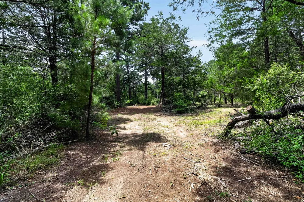 Gotier Trace Road Paige, TX 78659