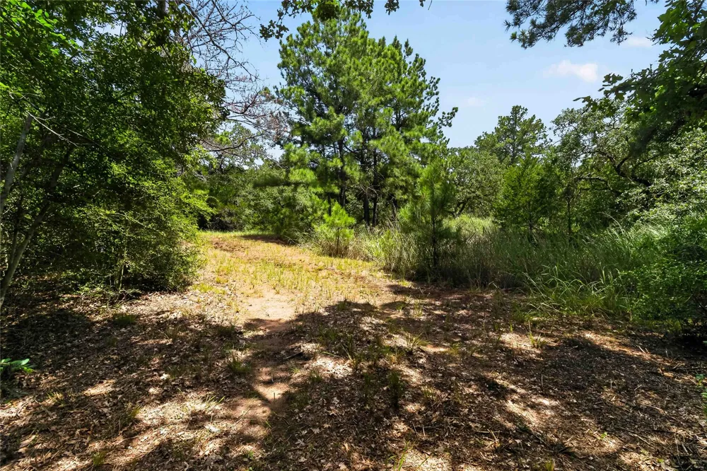 Gotier Trace Road Paige, TX 78659