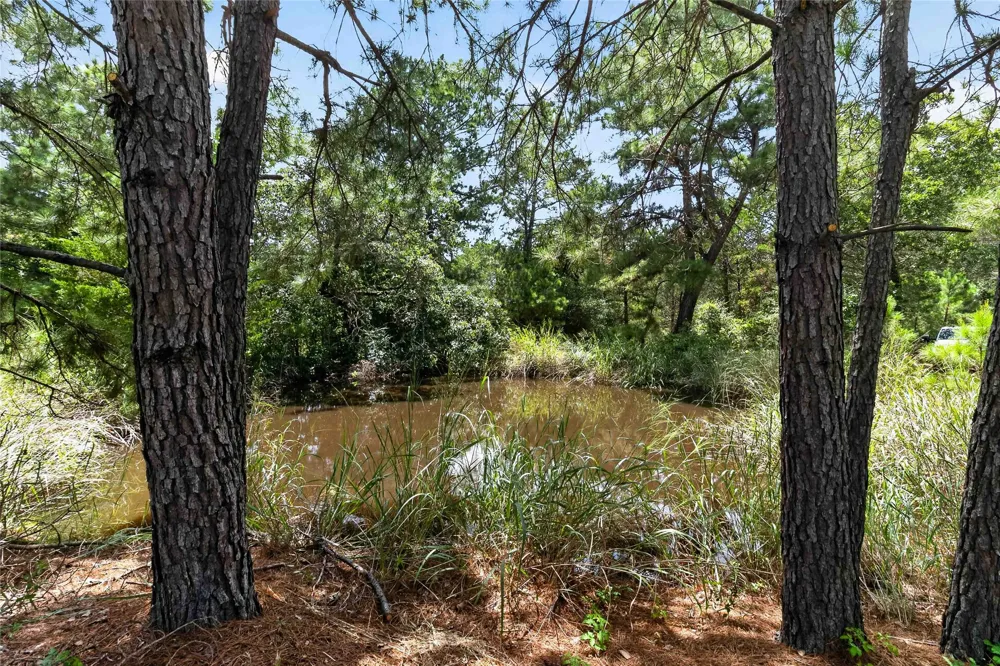 Gotier Trace Road Paige, TX 78659