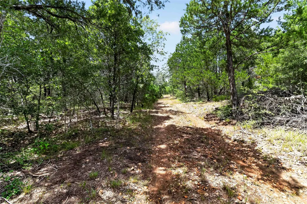 Gotier Trace Road Paige, TX 78659