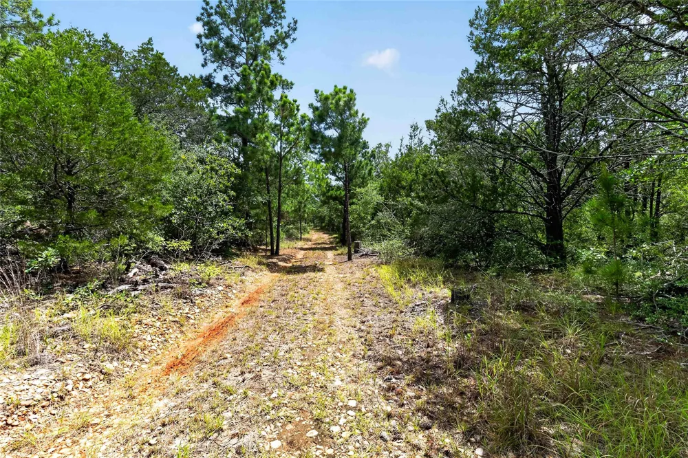 Gotier Trace Road Paige, TX 78659