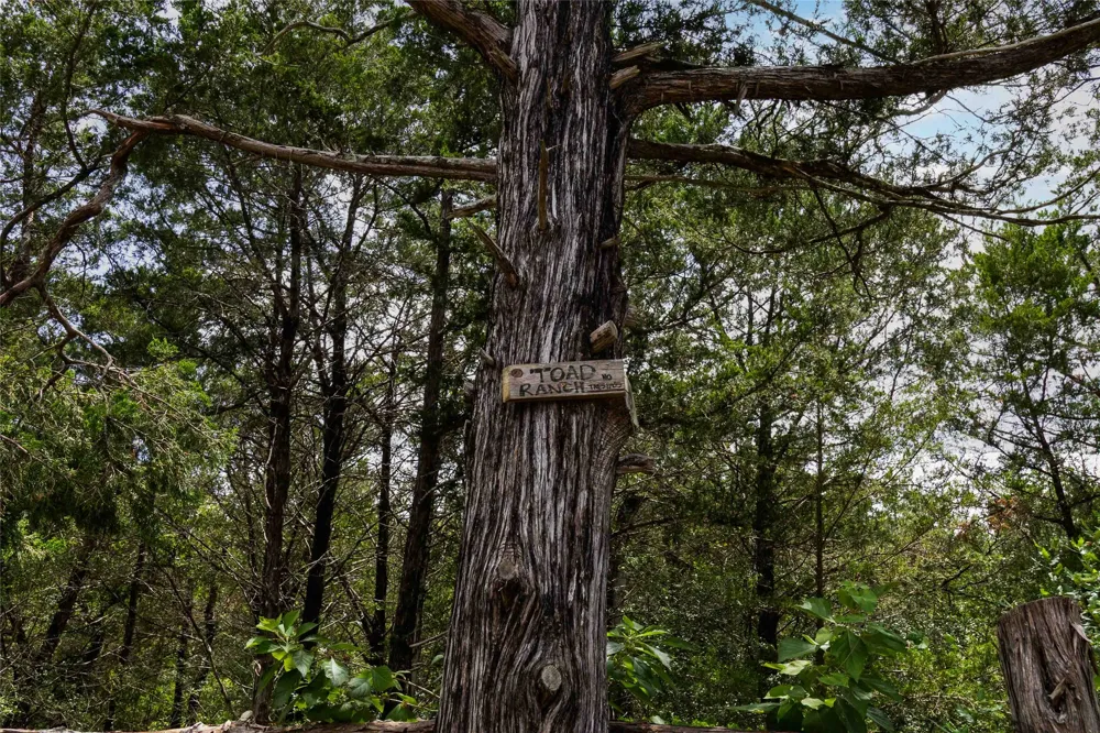 Gotier Trace Road Paige, TX 78659