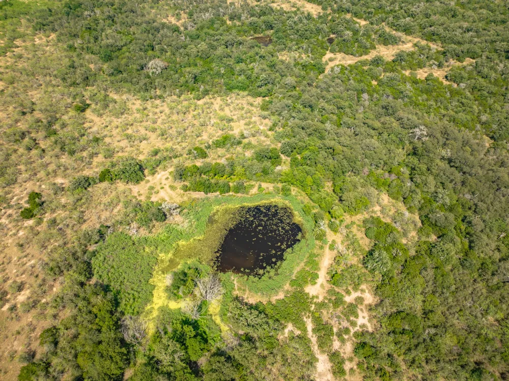 Fm 20 Dale, TX 78616