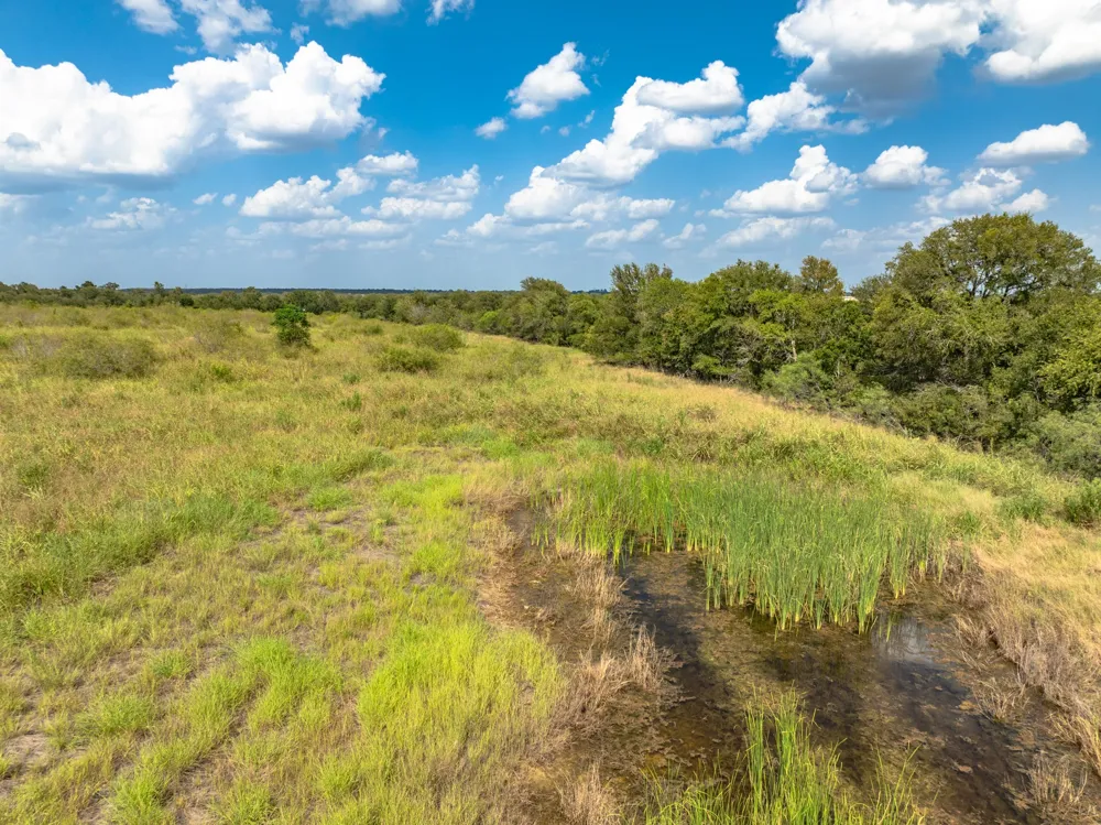 Fm 20 Dale, TX 78616