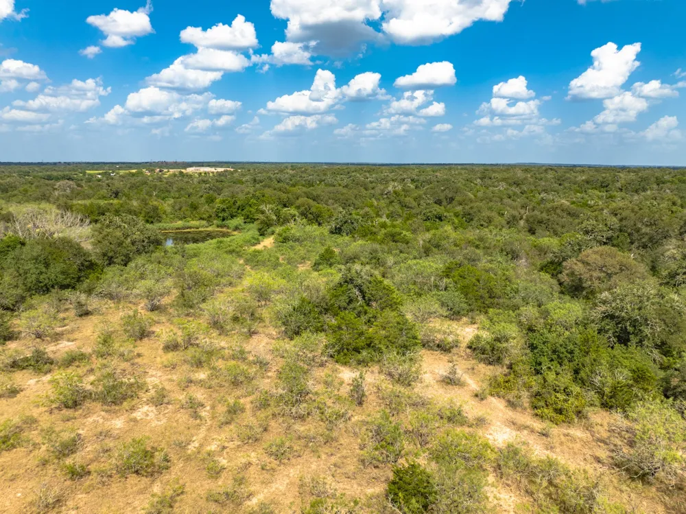 Fm 20 Dale, TX 78616